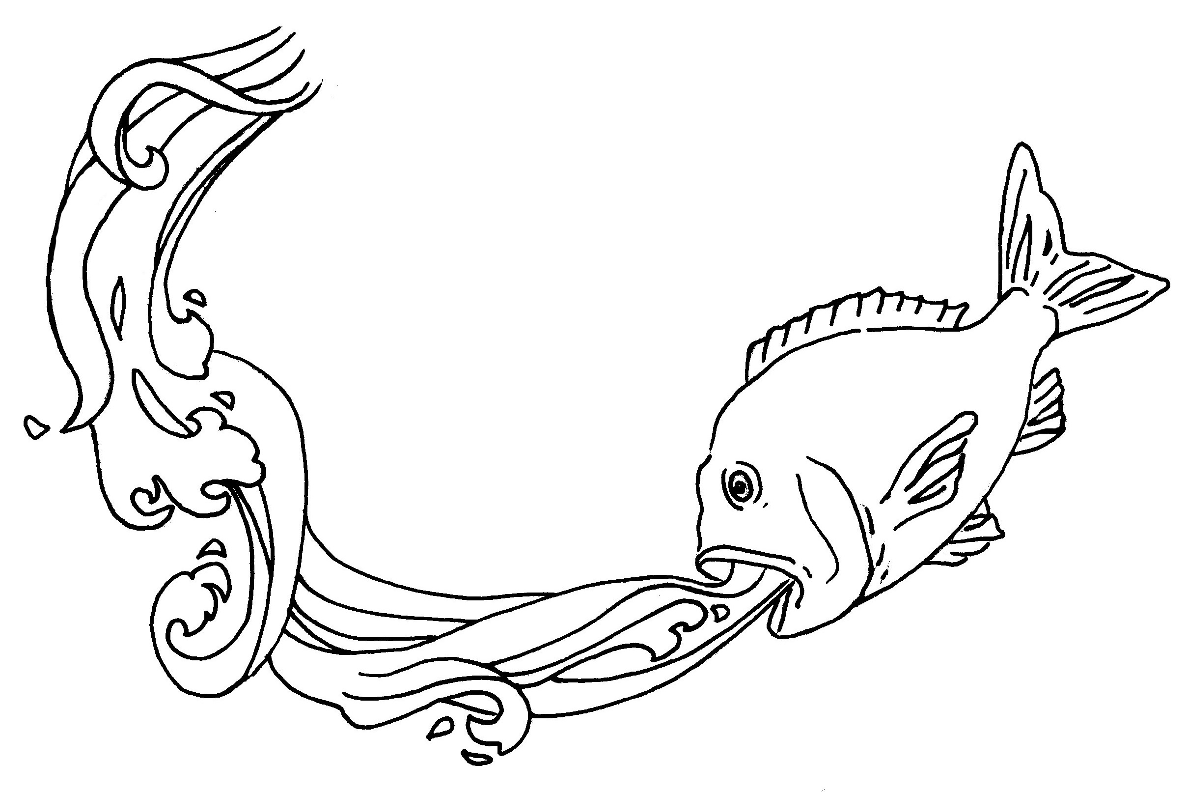 Piscis Australis